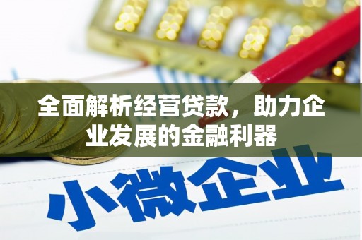沛县全面解析经营贷款，助力企业发展的金融利器