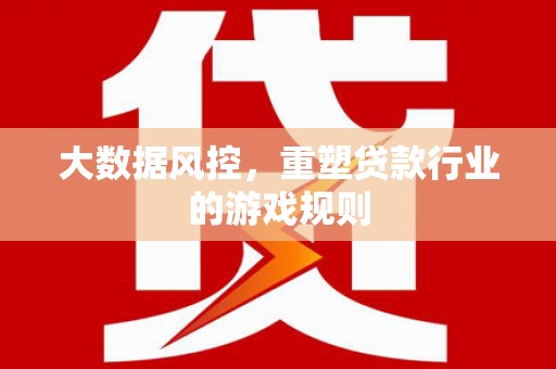 沛县大数据风控，重塑贷款行业的游戏规则