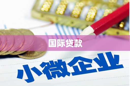 沛县国际贷款