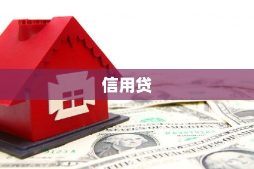 沛县信用贷