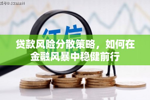 沛县贷款风险分散策略，如何在金融风暴中稳健前行
