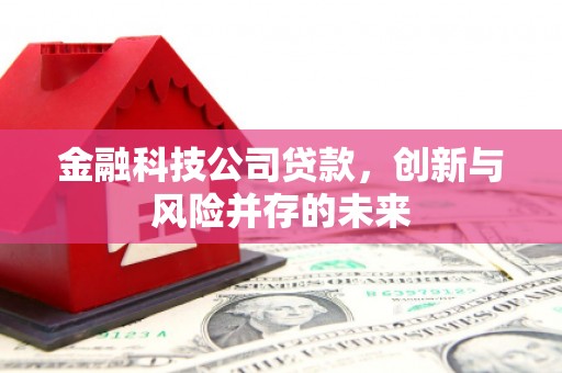 沛县金融科技公司贷款，创新与风险并存的未来