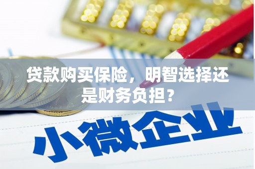 沛县贷款购买保险，明智选择还是财务负担？