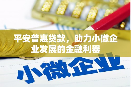 沛县平安普惠贷款，助力小微企业发展的金融利器