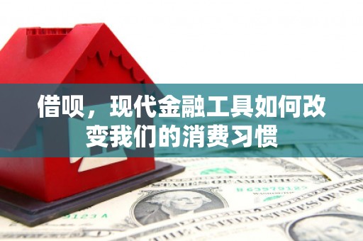 沛县借呗，现代金融工具如何改变我们的消费习惯