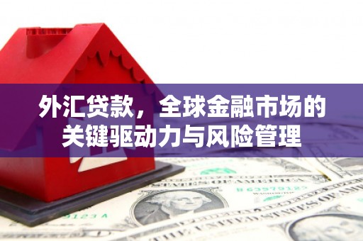沛县外汇贷款，全球金融市场的关键驱动力与风险管理