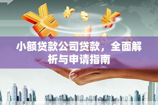沛县小额贷款公司贷款，全面解析与申请指南