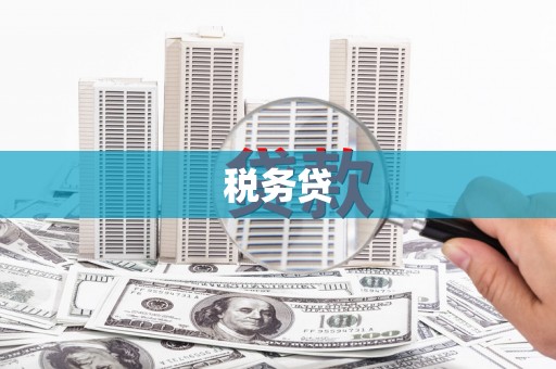 沛县税务贷