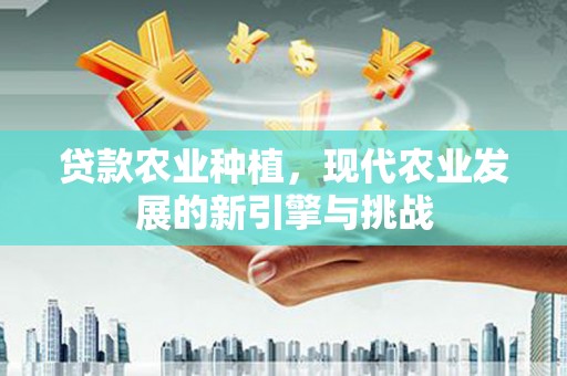 沛县贷款农业种植，现代农业发展的新引擎与挑战