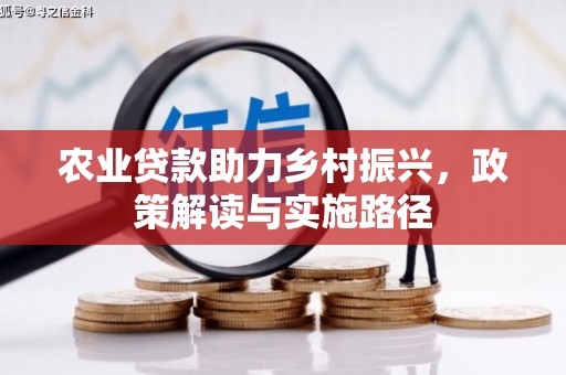 沛县农业贷款助力乡村振兴，政策解读与实施路径