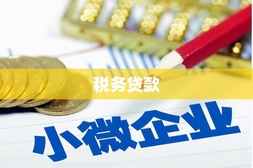 沛县税务贷款
