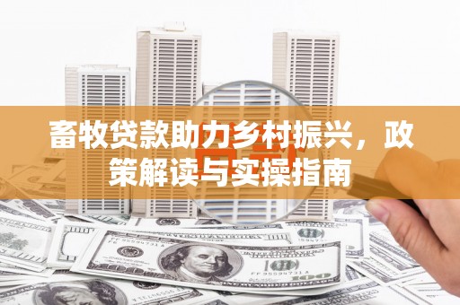 沛县畜牧贷款助力乡村振兴，政策解读与实操指南