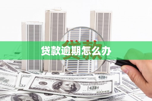 沛县贷款逾期怎么办