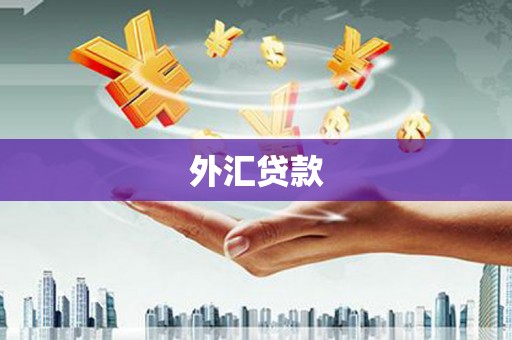 沛县外汇贷款