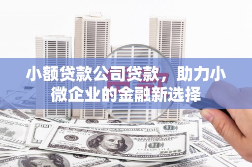 沛县小额贷款公司贷款，助力小微企业的金融新选择