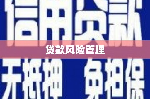 沛县贷款风险管理