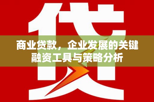 沛县商业贷款，企业发展的关键融资工具与策略分析