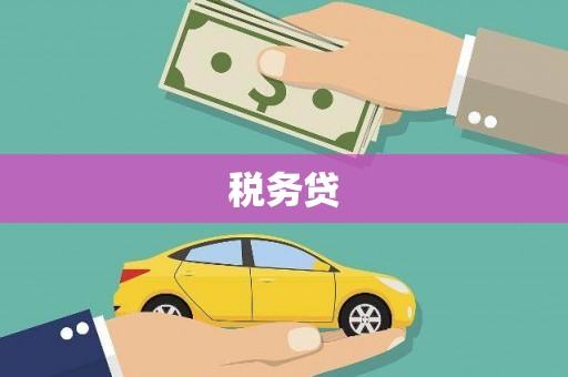 沛县税务贷