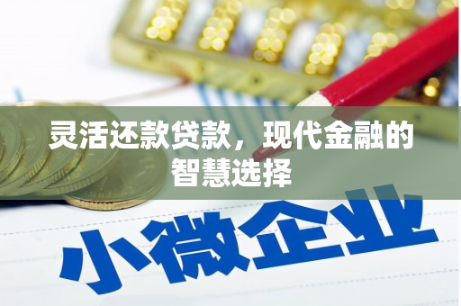 沛县灵活还款贷款，现代金融的智慧选择