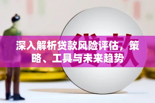 沛县深入解析贷款风险评估，策略、工具与未来趋势