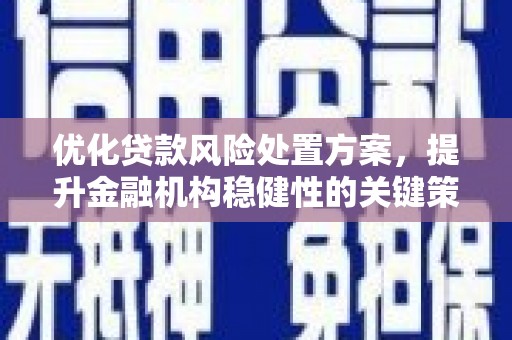沛县优化贷款风险处置方案，提升金融机构稳健性的关键策略