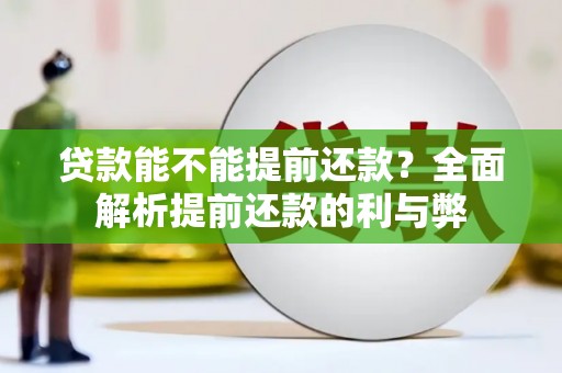 沛县贷款能不能提前还款？全面解析提前还款的利与弊
