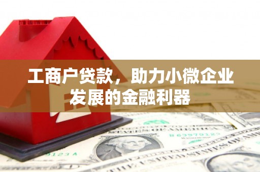 沛县工商户贷款，助力小微企业发展的金融利器