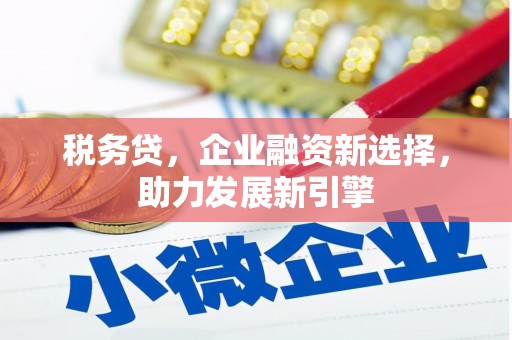 沛县税务贷，企业融资新选择，助力发展新引擎