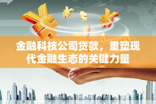 沛县金融科技公司贷款，重塑现代金融生态的关键力量