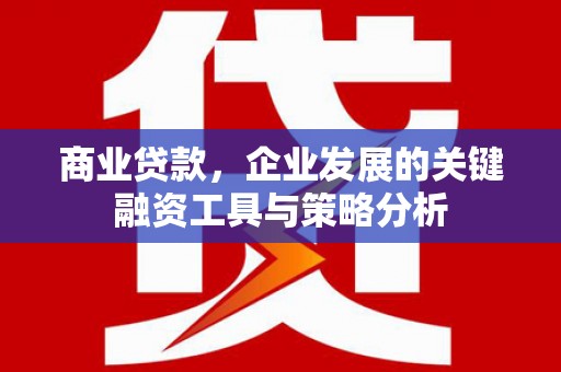 沛县商业贷款，企业发展的关键融资工具与策略分析