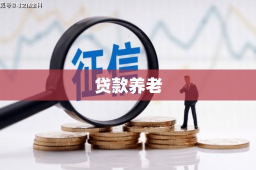 沛县贷款养老