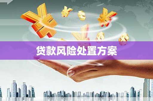 沛县贷款风险处置方案