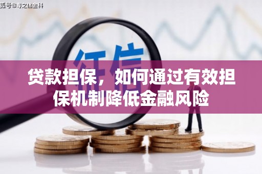 沛县贷款担保，如何通过有效担保机制降低金融风险