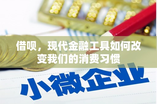 沛县借呗，现代金融工具如何改变我们的消费习惯