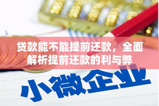 沛县贷款能不能提前还款，全面解析提前还款的利与弊