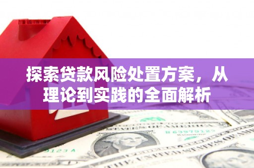 沛县探索贷款风险处置方案，从理论到实践的全面解析