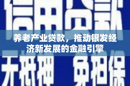 沛县养老产业贷款，推动银发经济新发展的金融引擎