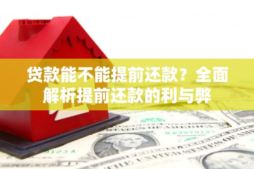 沛县贷款能不能提前还款？全面解析提前还款的利与弊