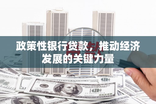 沛县政策性银行贷款，推动经济发展的关键力量