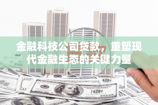 沛县金融科技公司贷款，重塑现代金融生态的关键力量