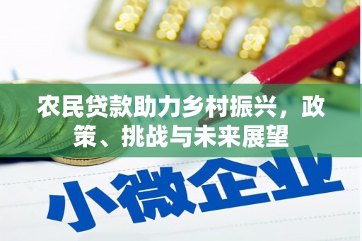 沛县农民贷款助力乡村振兴，政策、挑战与未来展望