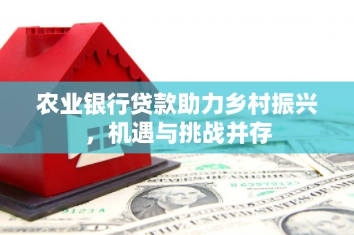 沛县农业银行贷款助力乡村振兴，机遇与挑战并存