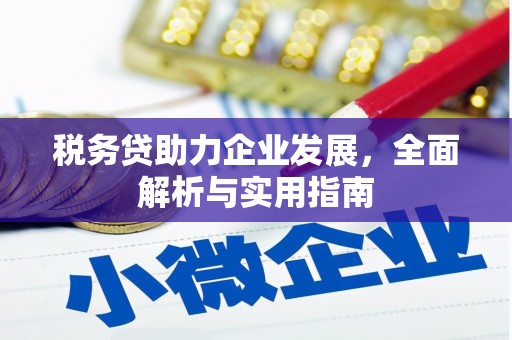 沛县税务贷助力企业发展，全面解析与实用指南