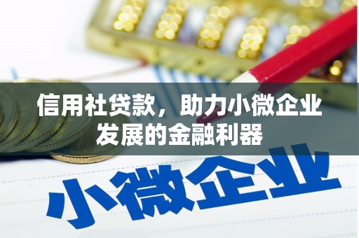 沛县信用社贷款，助力小微企业发展的金融利器