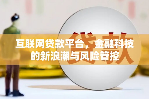 沛县互联网贷款平台，金融科技的新浪潮与风险管控