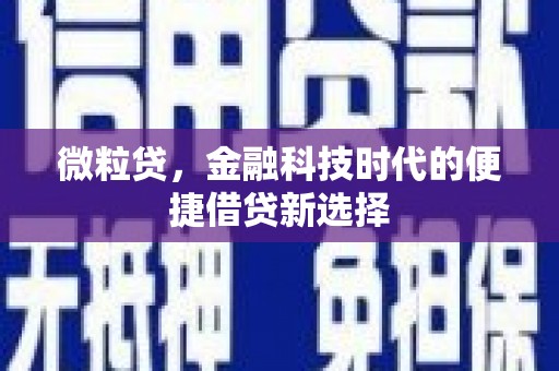 沛县微粒贷，金融科技时代的便捷借贷新选择