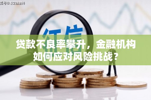 沛县贷款不良率攀升，金融机构如何应对风险挑战？