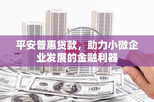 沛县平安普惠贷款，助力小微企业发展的金融利器