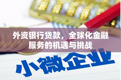 沛县外资银行贷款，全球化金融服务的机遇与挑战