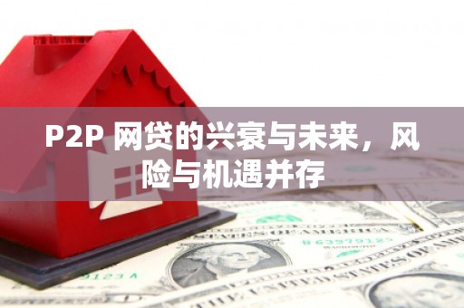 沛县P2P 网贷的兴衰与未来，风险与机遇并存